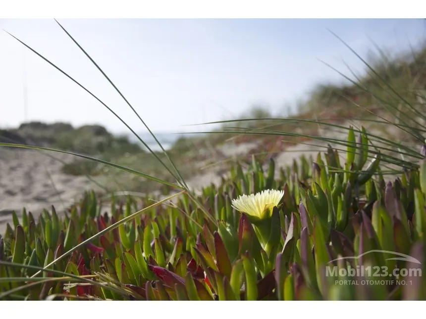 2025 Jaecoo J7 AWD SUV