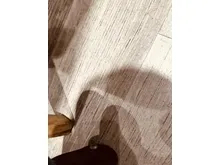 2023 Chery Tiggo 7 Pro 1.5 Premium (Two Tone) SUV